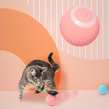 Automatic Rolling Ball Electric Pet Toy