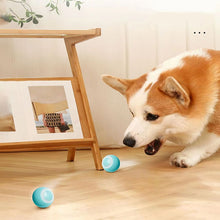 Automatic Rolling Ball Electric Pet Toy