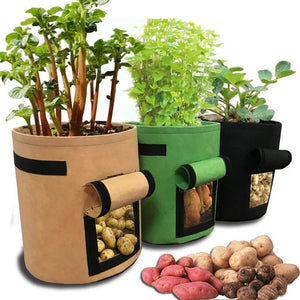 Plant Grow Bags Water-Resistant Potato Planter Bag - Three Colours Available - Groupy Buy