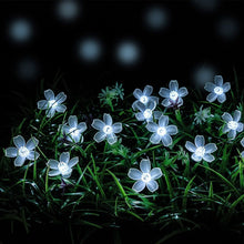 LED Solar Blossom String Lights
