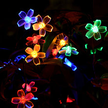 LED Solar Blossom String Lights