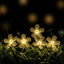 LED Solar Blossom String Lights