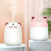 Colorful Atmosphere Light Desktop Humidifier