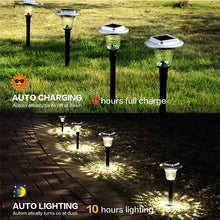 Colored Solar Pathway Garden Lights for Walkway Yard Path