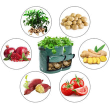 Reusable Potato Plant Grow Bags