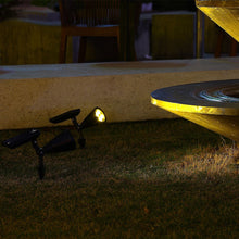7 LED Changing Color Solar Spotlight