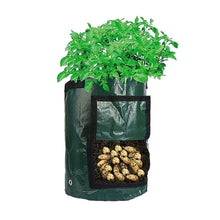 Reusable Potato Plant Grow Bags