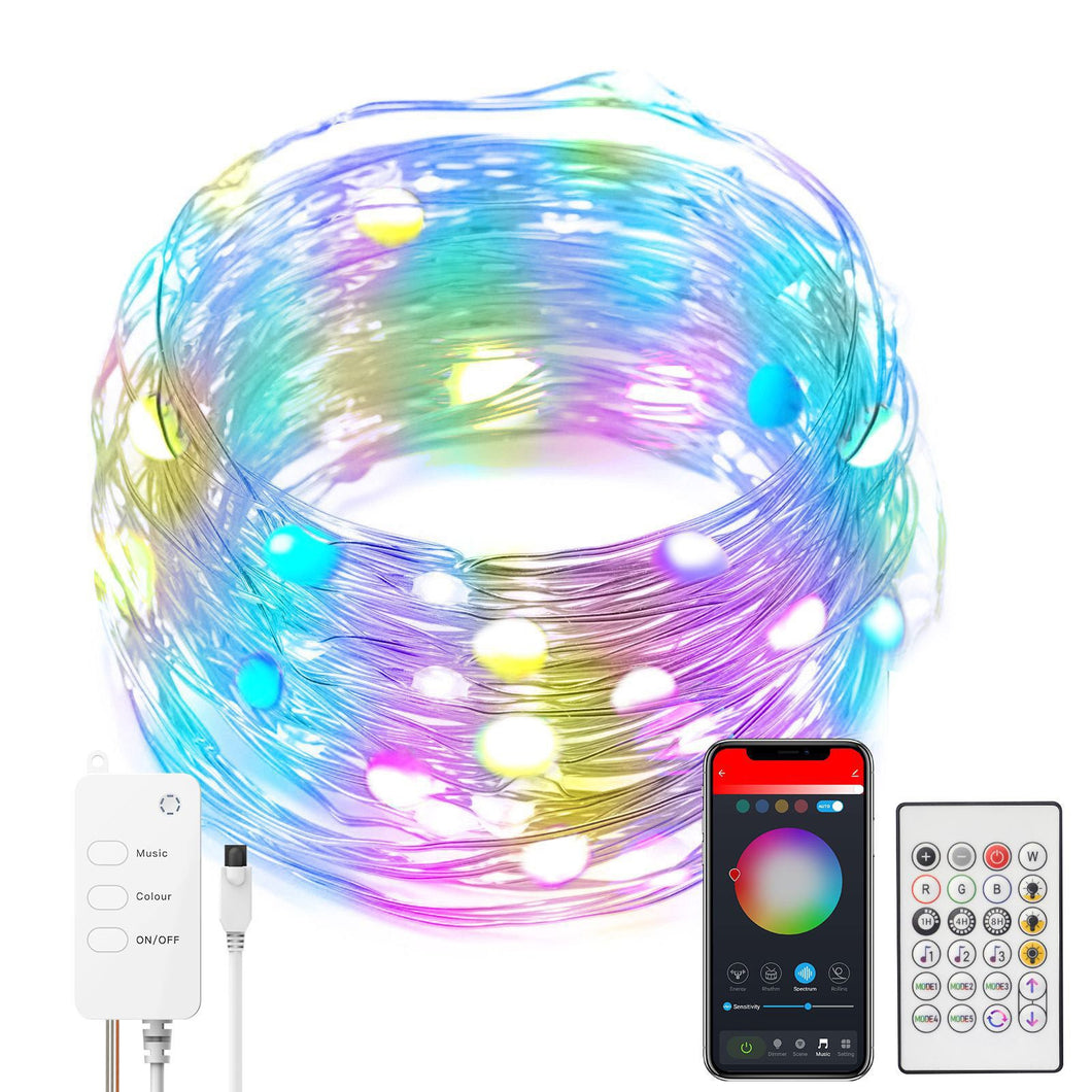 APP Intelligent Control LED Fairy Light