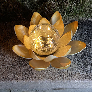 LED Glass Amber Crackle Globe Lotus Light