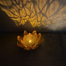 LED Glass Amber Crackle Globe Lotus Light