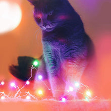 APP Intelligent Control LED Fairy Light