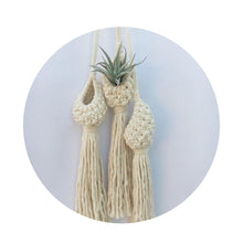 Hand-Woven Macrame Wall Hanging Planter