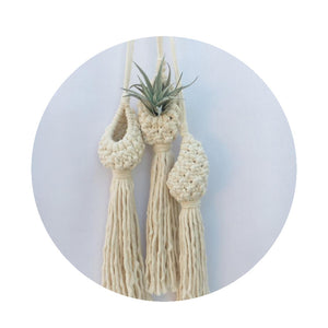 Hand-Woven Macrame Wall Hanging Planter