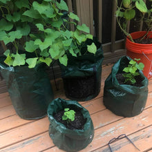 Reusable Potato Plant Grow Bags
