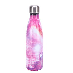 Sky-Style Stainless Steel Insulated Bottle