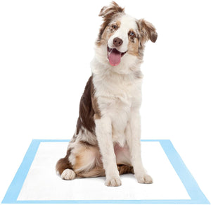 Disposable Pet Diapers Thickened Diaper Pad - Groupy Buy