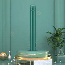 USB Portable Mini Hair Straightener