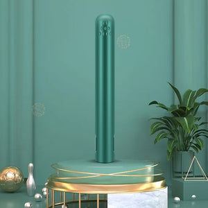 USB Portable Mini Hair Straightener