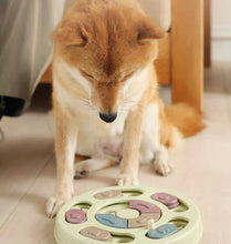 Boredom Relief Puzzle for Active Dogs