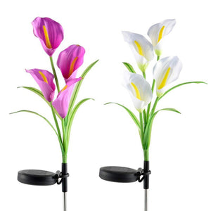 Solar Powered Calla Lily Flower Lights