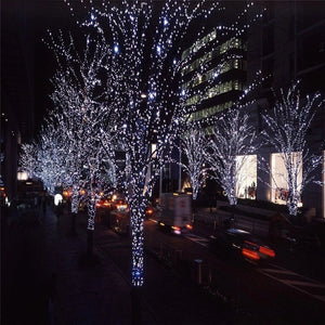 Solar-Powered LED Fairy Lights