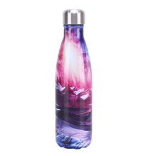Sky-Style Stainless Steel Insulated Bottle