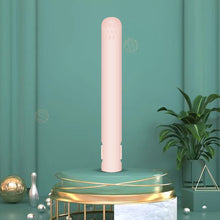 USB Portable Mini Hair Straightener