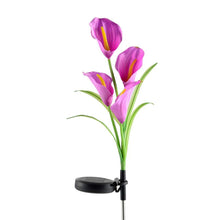 Solar Powered Calla Lily Flower Lights