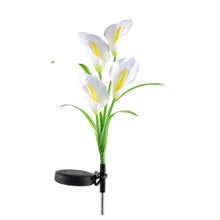 Solar Powered Calla Lily Flower Lights