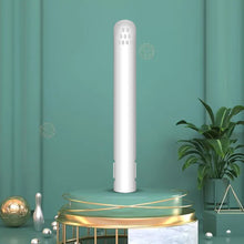 USB Portable Mini Hair Straightener
