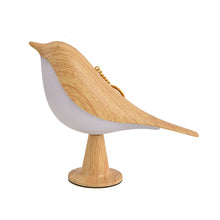 Creative Magpie Aroma Lamps